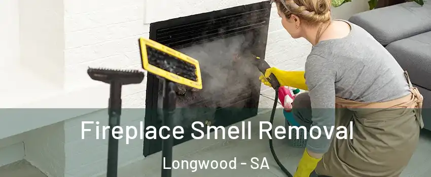 Fireplace Smell Removal Longwood - SA
