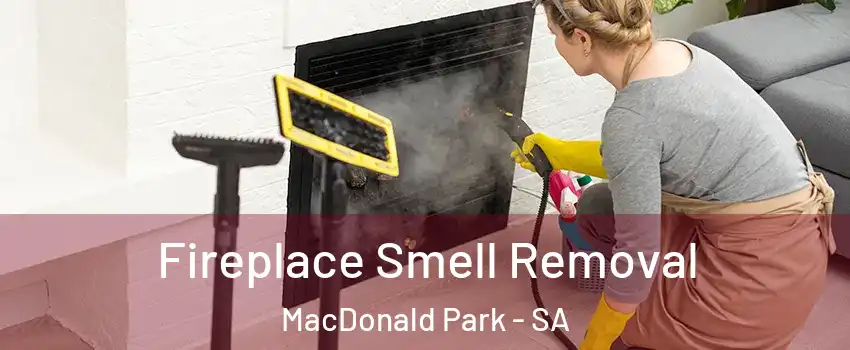 Fireplace Smell Removal MacDonald Park - SA
