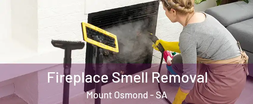 Fireplace Smell Removal Mount Osmond - SA
