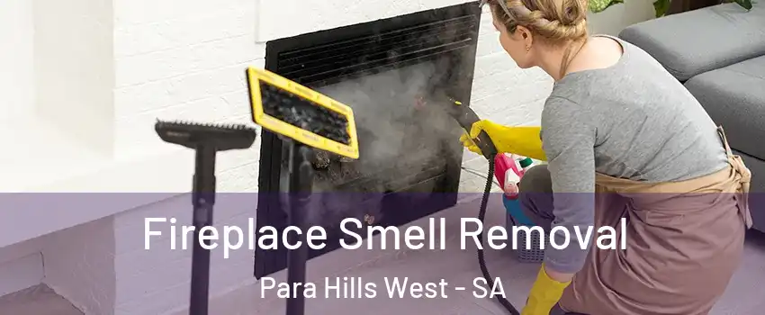 Fireplace Smell Removal Para Hills West - SA