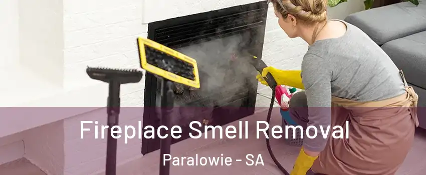 Fireplace Smell Removal Paralowie - SA