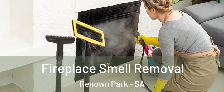 Fireplace Smell Removal Renown Park - SA
