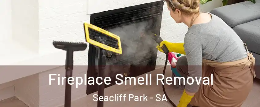 Fireplace Smell Removal Seacliff Park - SA