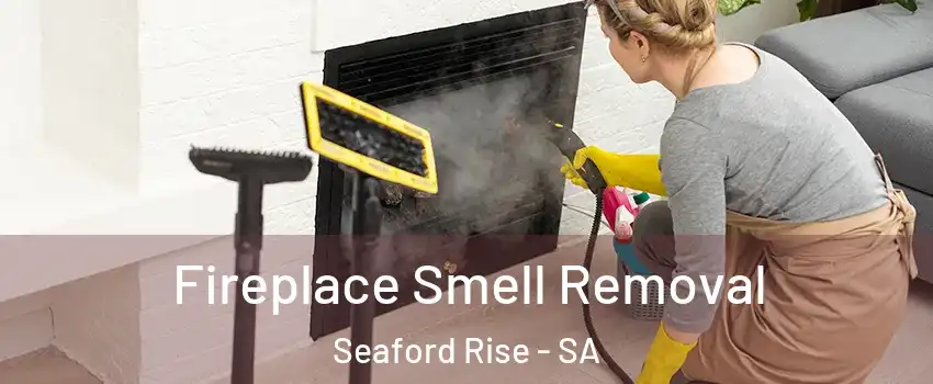 Fireplace Smell Removal Seaford Rise - SA