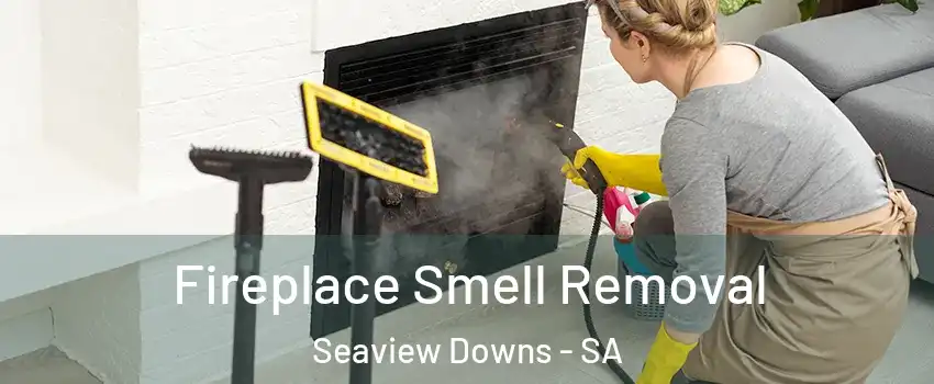 Fireplace Smell Removal Seaview Downs - SA