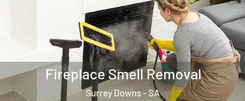 Fireplace Smell Removal Surrey Downs - SA
