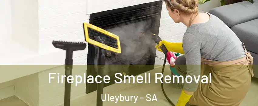 Fireplace Smell Removal Uleybury - SA