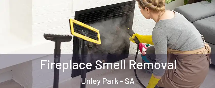 Fireplace Smell Removal Unley Park - SA
