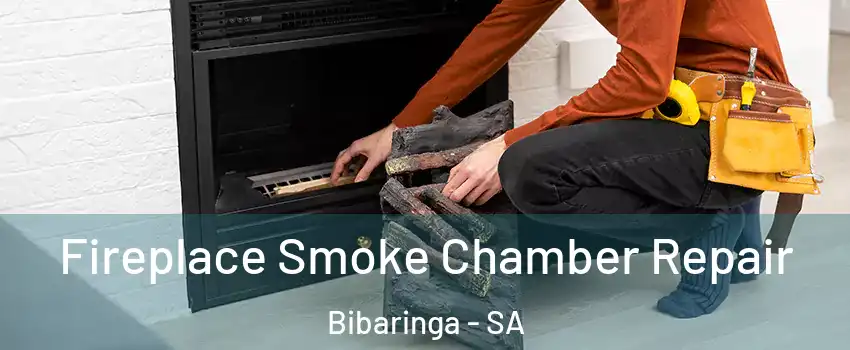  Fireplace Smoke Chamber Repair Bibaringa - SA