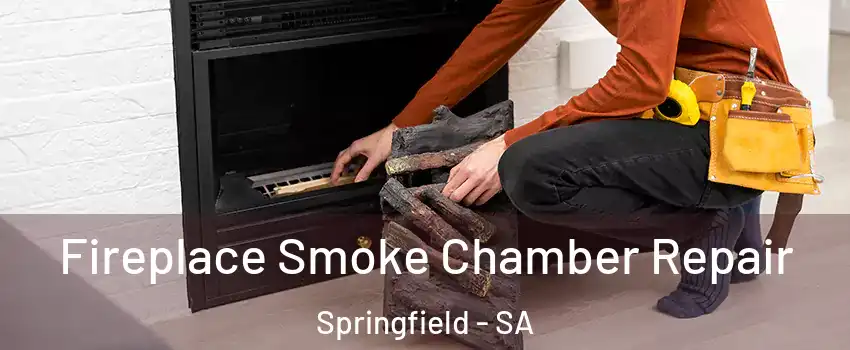 Fireplace Smoke Chamber Repair Springfield - SA