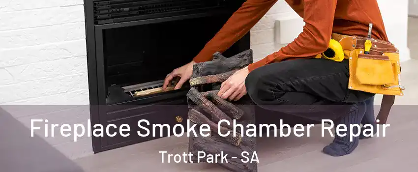Fireplace Smoke Chamber Repair Trott Park - SA