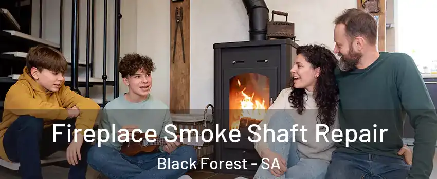 Fireplace Smoke Shaft Repair Black Forest - SA