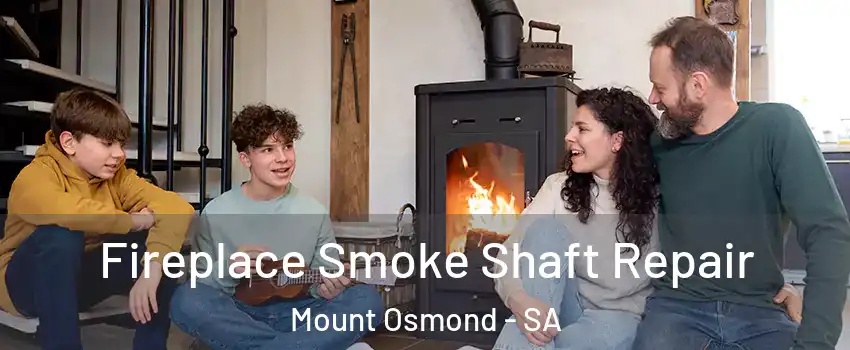 Fireplace Smoke Shaft Repair Mount Osmond - SA