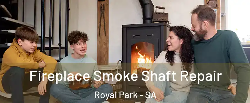 Fireplace Smoke Shaft Repair Royal Park - SA
