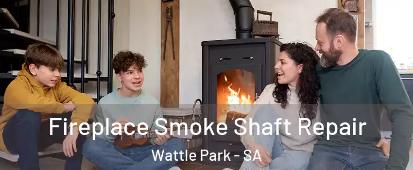 Fireplace Smoke Shaft Repair Wattle Park - SA