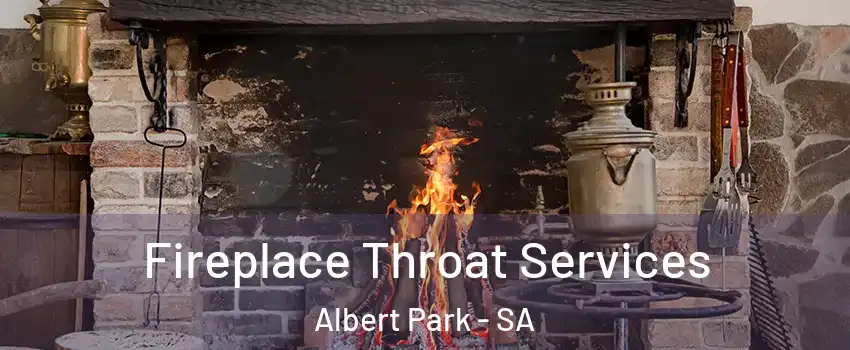  Fireplace Throat Services Albert Park - SA