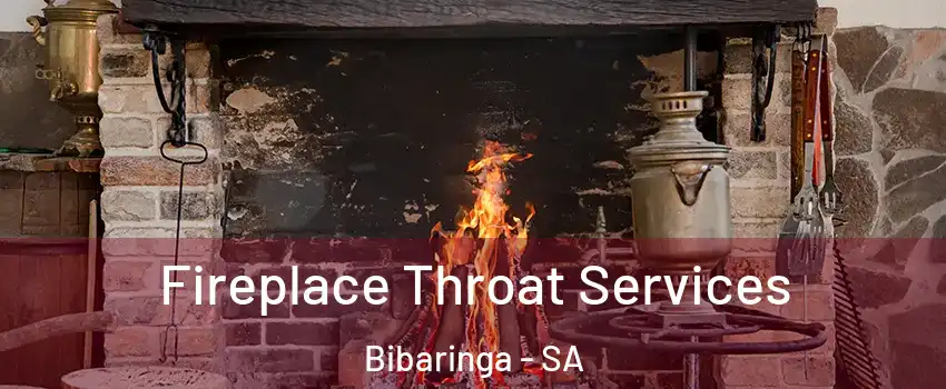 Fireplace Throat Services Bibaringa - SA