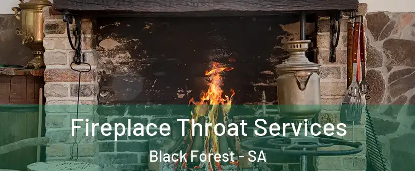  Fireplace Throat Services Black Forest - SA