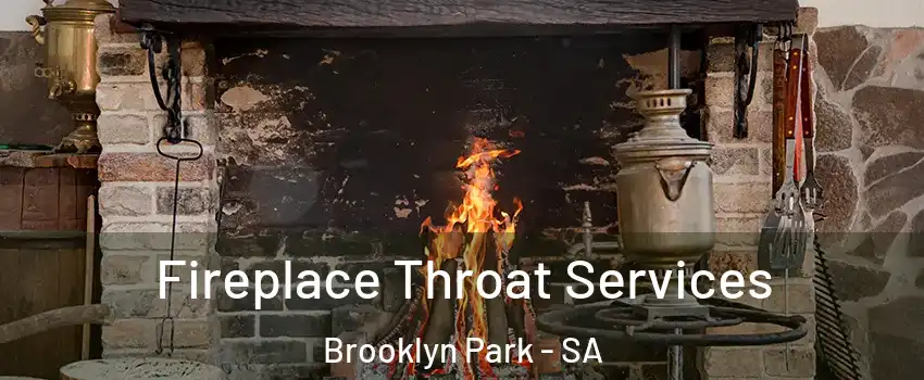  Fireplace Throat Services Brooklyn Park - SA