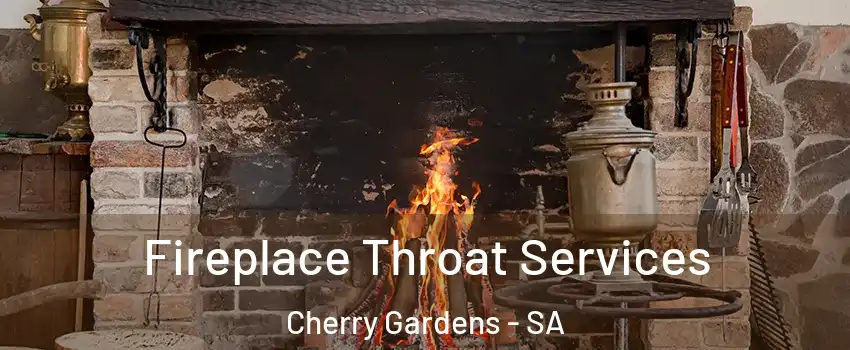 Fireplace Throat Services Cherry Gardens - SA