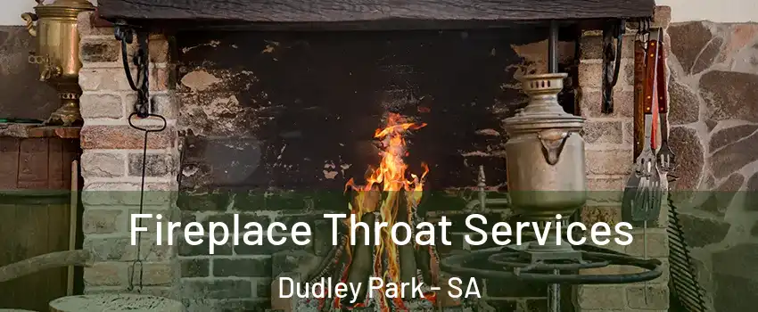 Fireplace Throat Services Dudley Park - SA