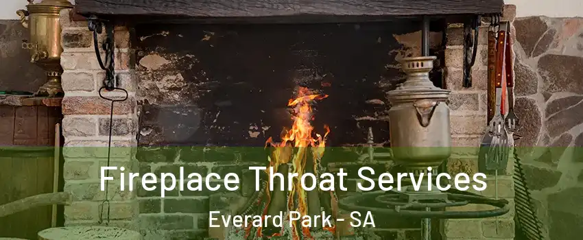  Fireplace Throat Services Everard Park - SA