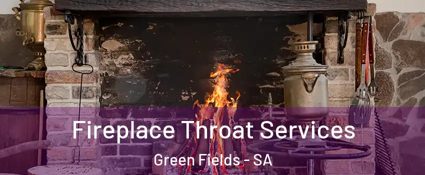  Fireplace Throat Services Green Fields - SA