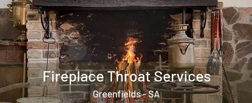  Fireplace Throat Services Greenfields - SA