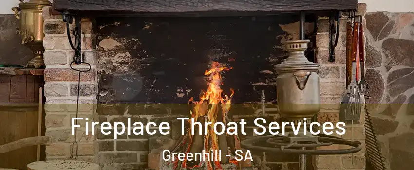  Fireplace Throat Services Greenhill - SA