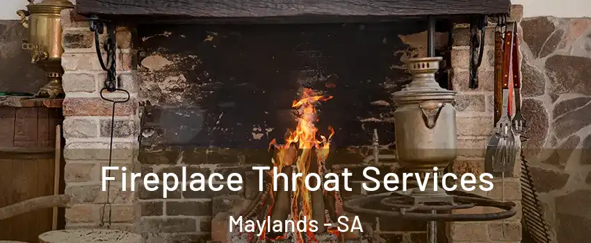 Fireplace Throat Services Maylands - SA