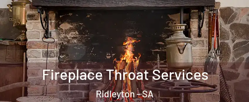 Fireplace Throat Services Ridleyton - SA