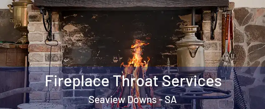 Fireplace Throat Services Seaview Downs - SA