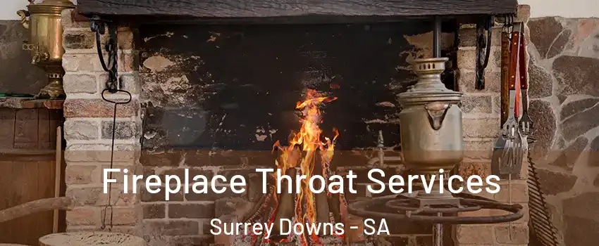 Fireplace Throat Services Surrey Downs - SA