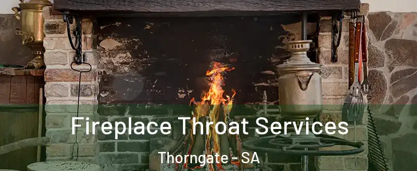  Fireplace Throat Services Thorngate - SA