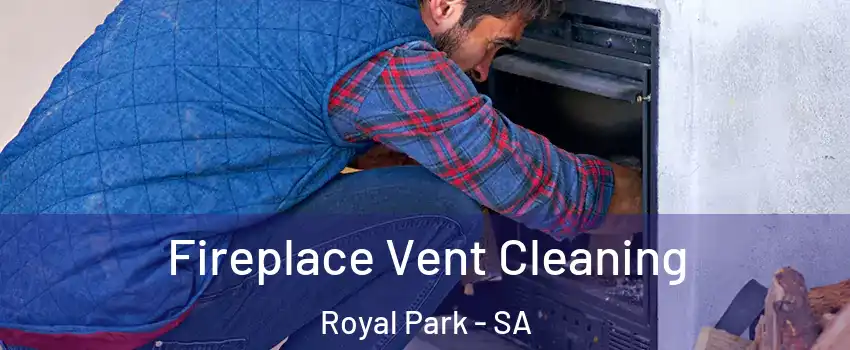 Fireplace Vent Cleaning Royal Park - SA