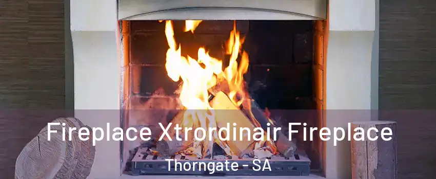 Fireplace Xtrordinair Fireplace Thorngate - SA