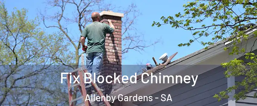 Fix Blocked Chimney Allenby Gardens - SA