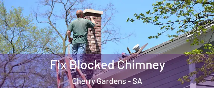 Fix Blocked Chimney Cherry Gardens - SA