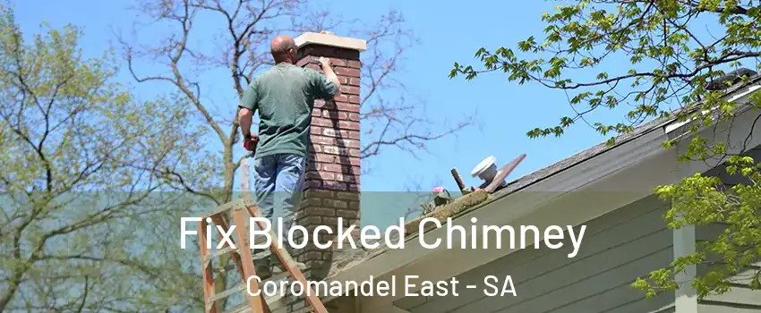  Fix Blocked Chimney Coromandel East - SA