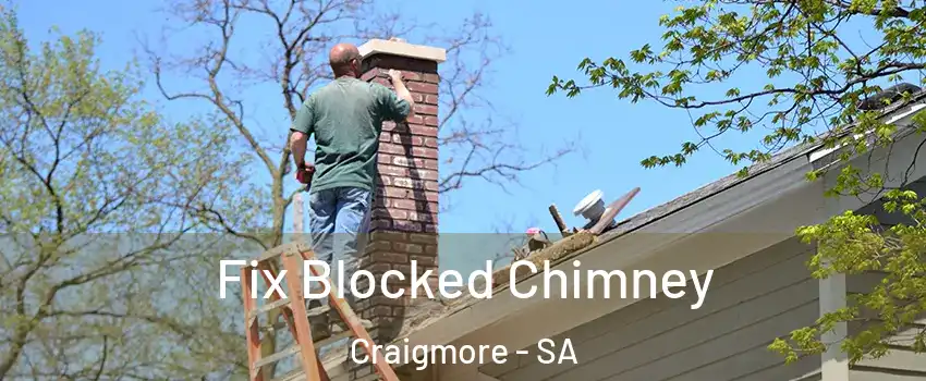 Fix Blocked Chimney Craigmore - SA