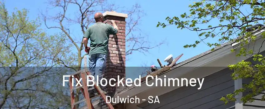  Fix Blocked Chimney Dulwich - SA