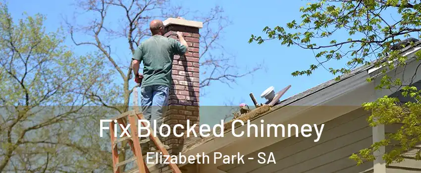  Fix Blocked Chimney Elizabeth Park - SA