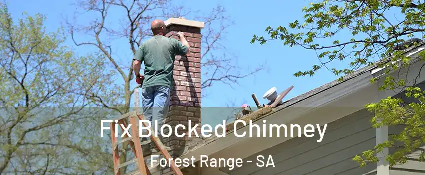  Fix Blocked Chimney Forest Range - SA