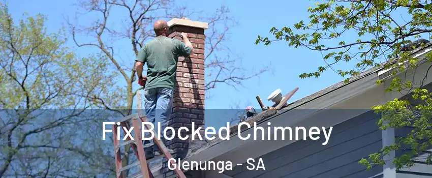 Fix Blocked Chimney Glenunga - SA