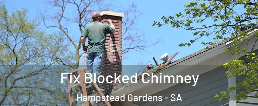  Fix Blocked Chimney Hampstead Gardens - SA