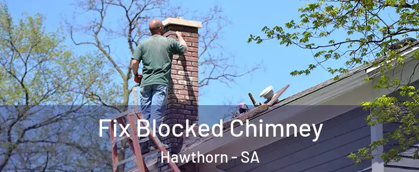  Fix Blocked Chimney Hawthorn - SA