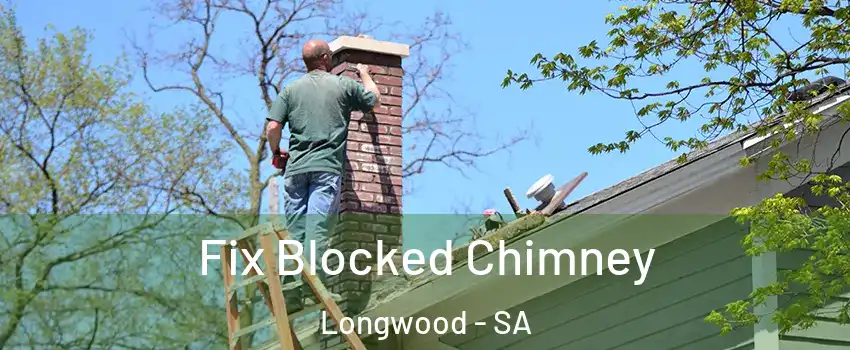 Fix Blocked Chimney Longwood - SA