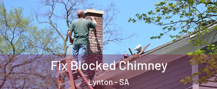 Fix Blocked Chimney Lynton - SA