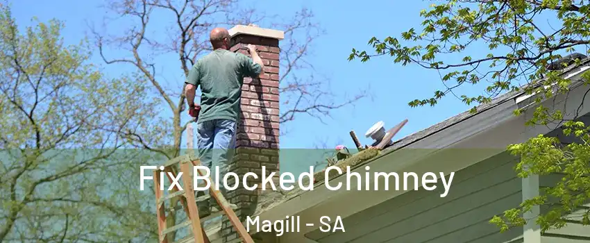 Fix Blocked Chimney Magill - SA