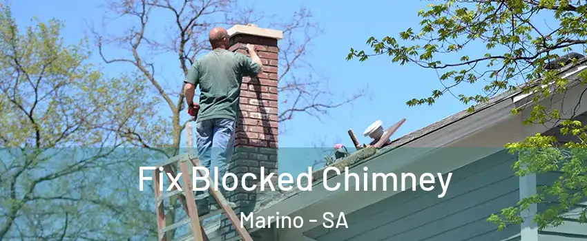 Fix Blocked Chimney Marino - SA